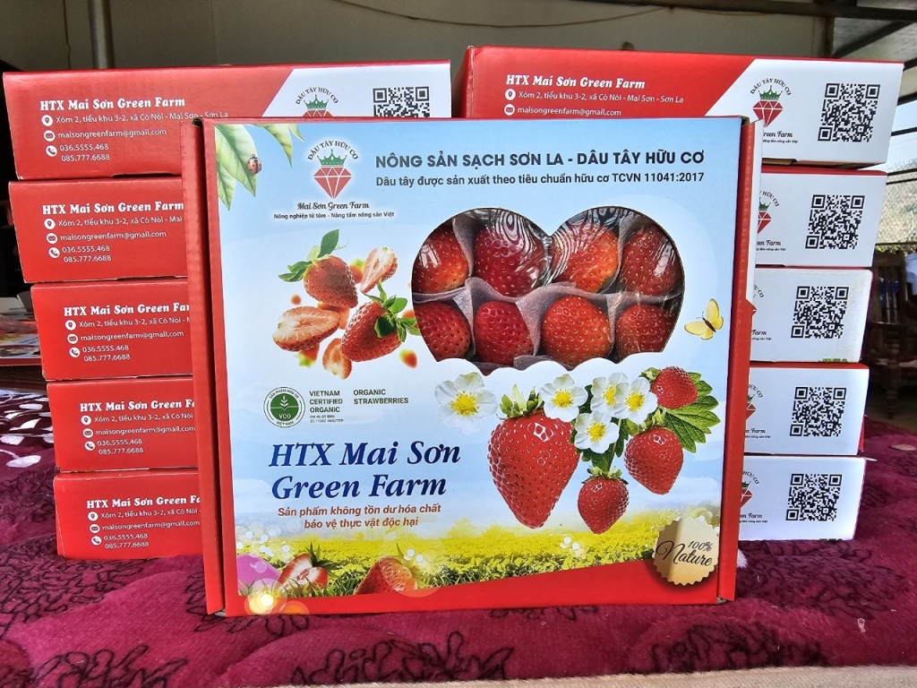 Dâu tây loại nhỏ