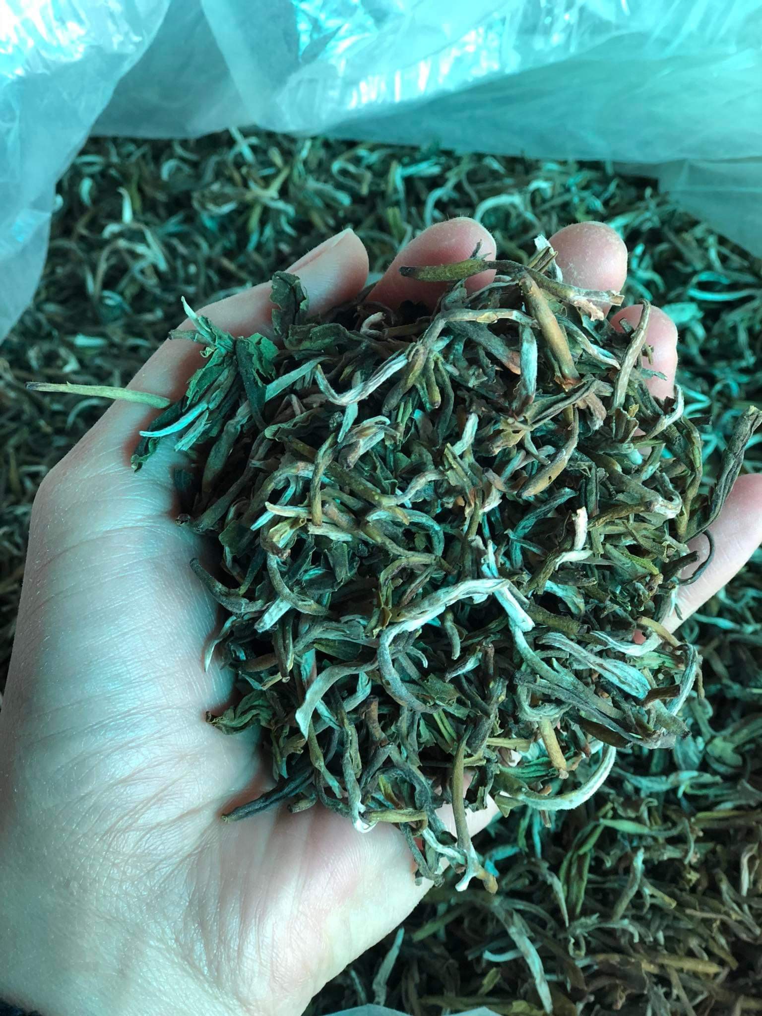 Chè một tôm hai lá