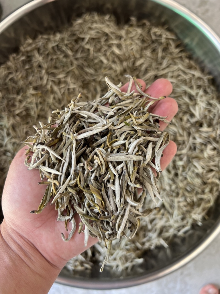 Chè một tôm