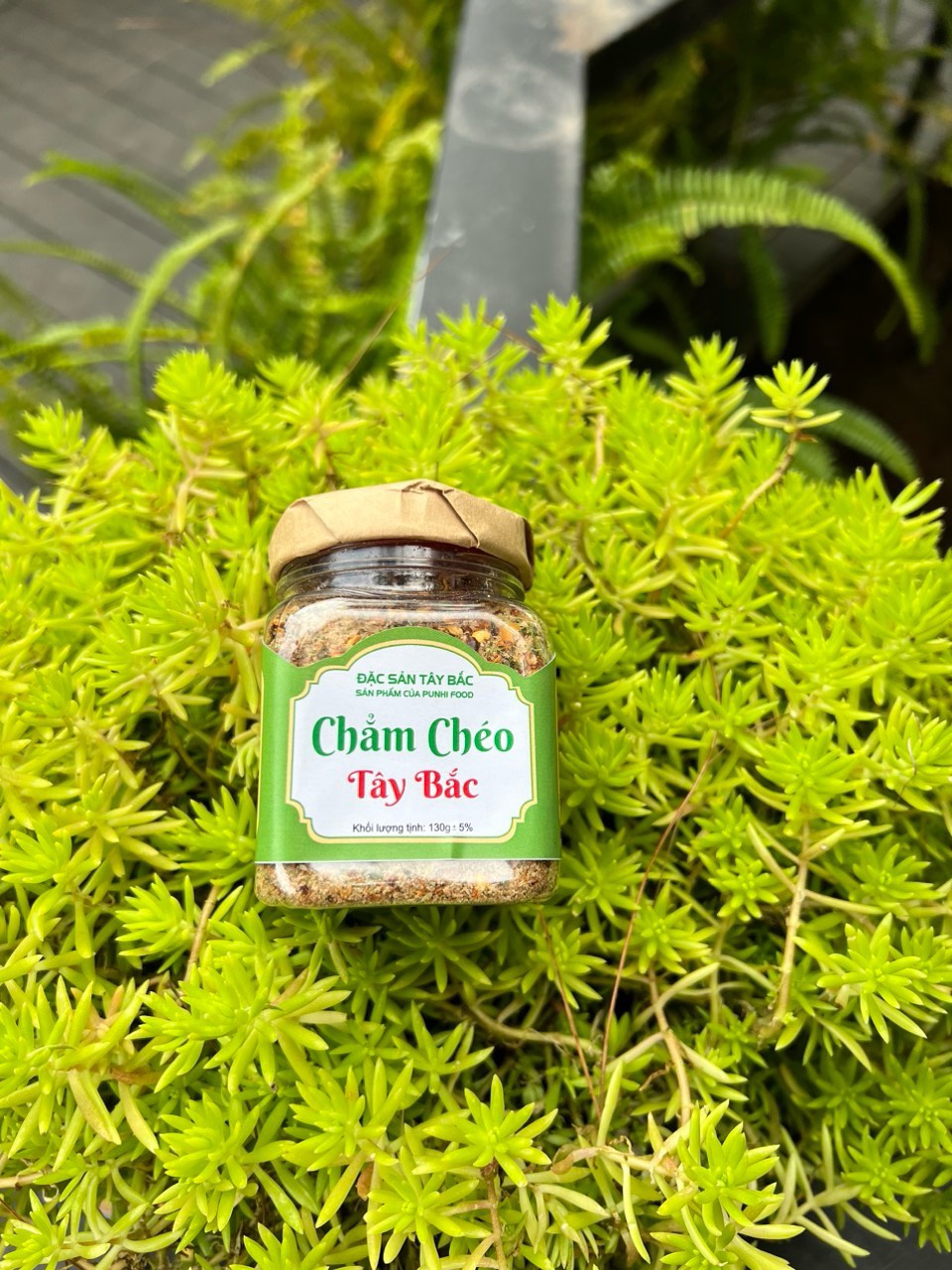 Chẳm chéo Tây Bắc